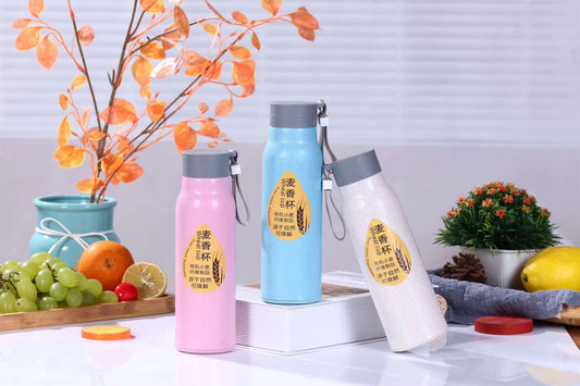 Insulated Glass Water Bottle